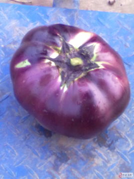 農(nóng)產(chǎn)品銷售與農(nóng)作物種子經(jīng)營的融合發(fā)展策略